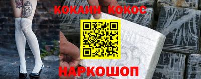крисы Кингисепп