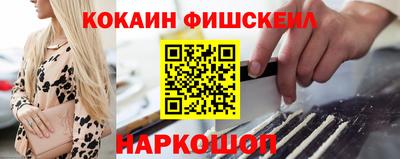 крисы Кингисепп