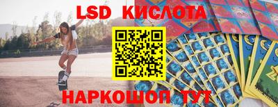 крисы Кингисепп