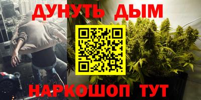 крисы Кингисепп