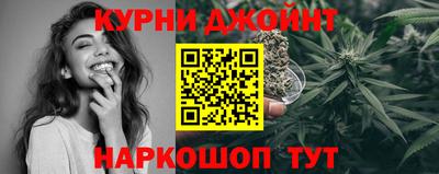 крисы Кингисепп