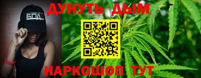 крисы Кингисепп