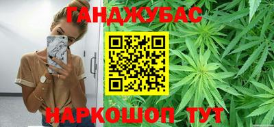 крисы Кингисепп