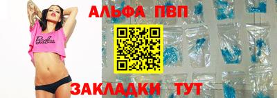 крисы Кингисепп