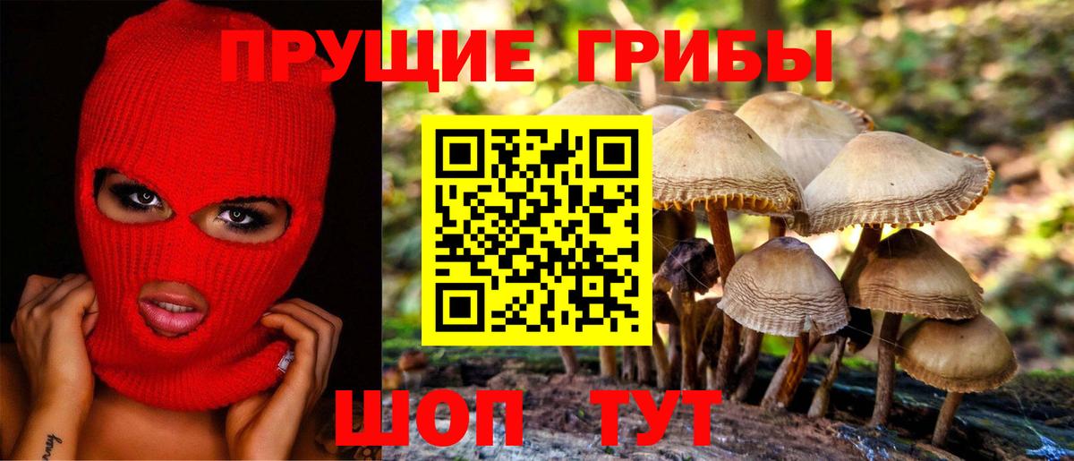 Псилоцибиновые грибы мицелий  Галлюциногенные грибы Magic Shrooms  Камышлов  Вход с VPN 