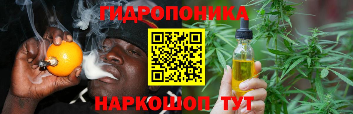 Бошки Шишки Ganja Камышлов